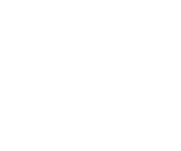 Lotus blanc seul