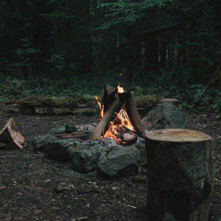 Feu de joie en forêt